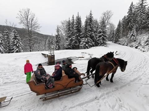 Świeradów-Zdrój Strefa Ciszy -Lawenda 아파트 외부 사진